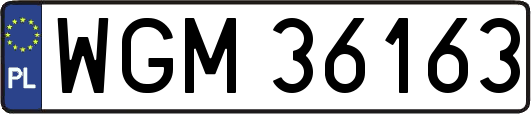 WGM36163
