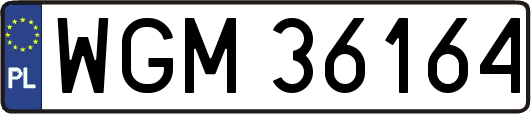 WGM36164