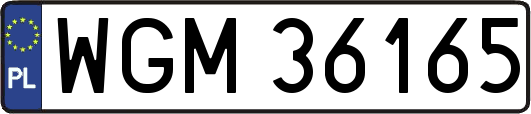 WGM36165