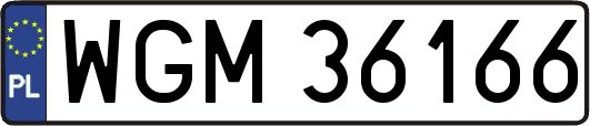 WGM36166