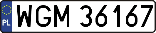 WGM36167