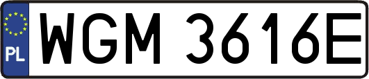 WGM3616E