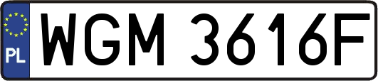 WGM3616F