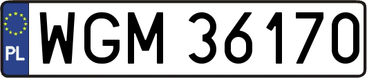 WGM36170