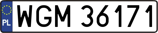 WGM36171