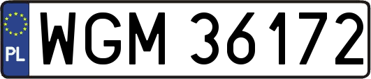 WGM36172