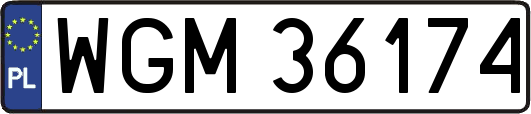 WGM36174