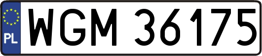 WGM36175