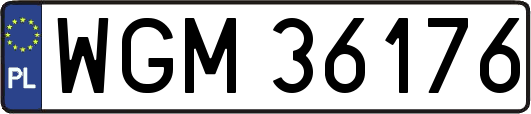 WGM36176