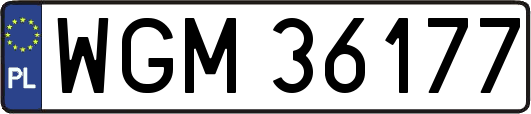 WGM36177