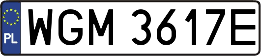 WGM3617E