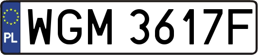 WGM3617F