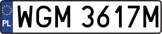 WGM3617M