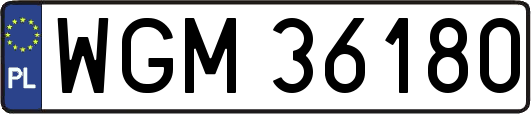 WGM36180
