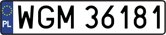 WGM36181