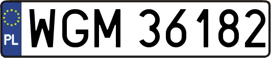 WGM36182