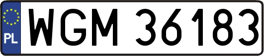 WGM36183