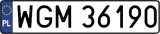WGM36190