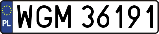 WGM36191