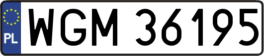 WGM36195