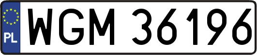 WGM36196