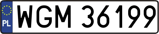 WGM36199