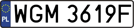 WGM3619F