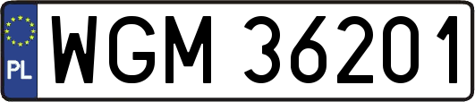 WGM36201