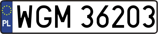 WGM36203