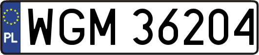 WGM36204