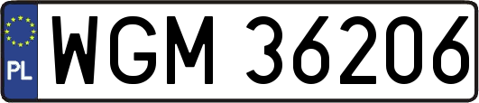 WGM36206