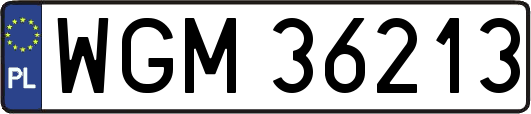 WGM36213