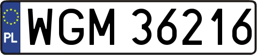 WGM36216