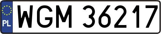 WGM36217