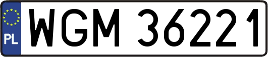 WGM36221