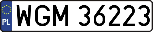 WGM36223