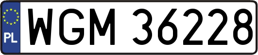WGM36228
