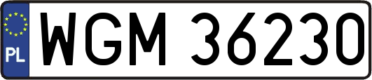 WGM36230