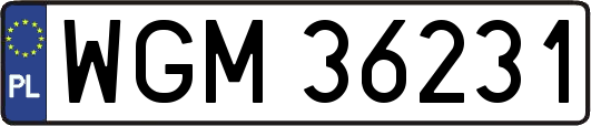 WGM36231