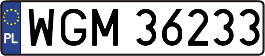 WGM36233