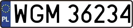 WGM36234