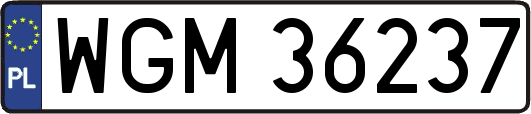 WGM36237