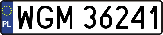 WGM36241