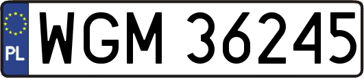 WGM36245