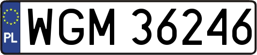 WGM36246