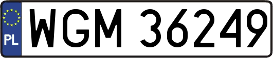 WGM36249