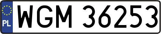 WGM36253
