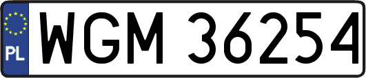 WGM36254