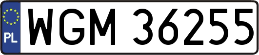 WGM36255