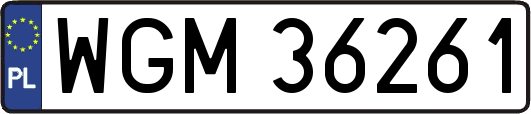 WGM36261